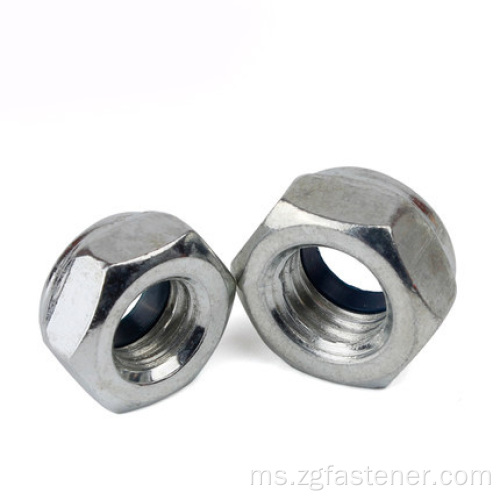 DIN985 Nylon Lock Hexagonal Nut Jenis DIN2510 Hexagon Nuts